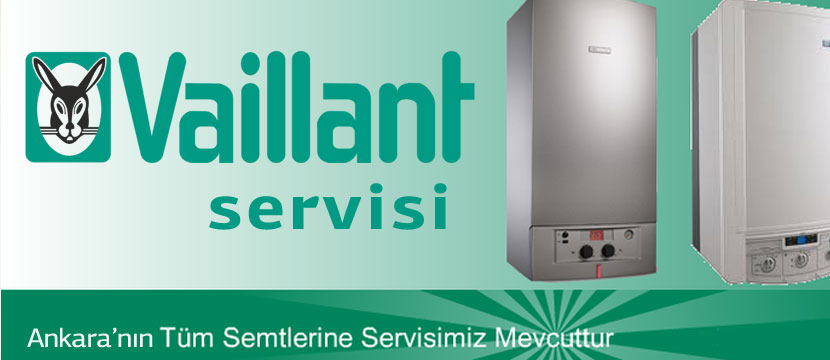 Ankara Vaillant Klima Servisi 